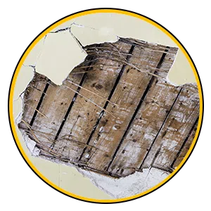 Lake Worth Restoration Expert Lake Worth, FL 561-349-5365